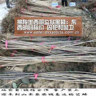 揭秘墨西哥监狱黑幕：东西明码标价 囚犯和警卫分赃‘爱游戏平台’