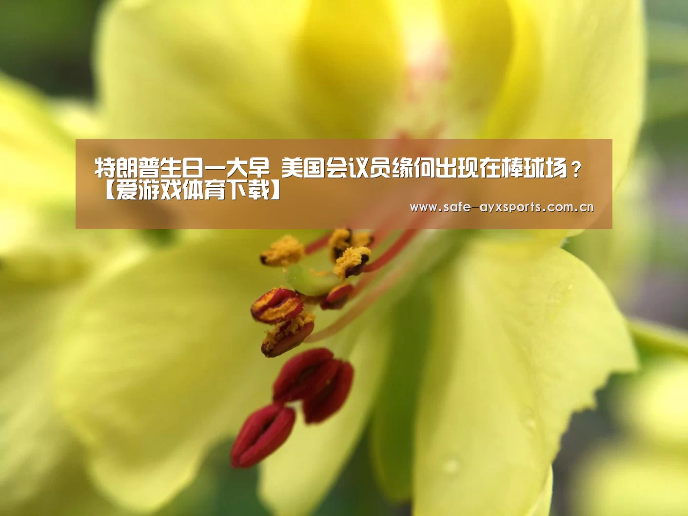 特朗普生日一大早 美国会议员缘何出现在棒球场？【爱游戏体育下载】