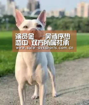 演员金汎-吴涟序热恋中 双方所属社承认恋情【爱游戏平台】(图1) 爱游戏官网