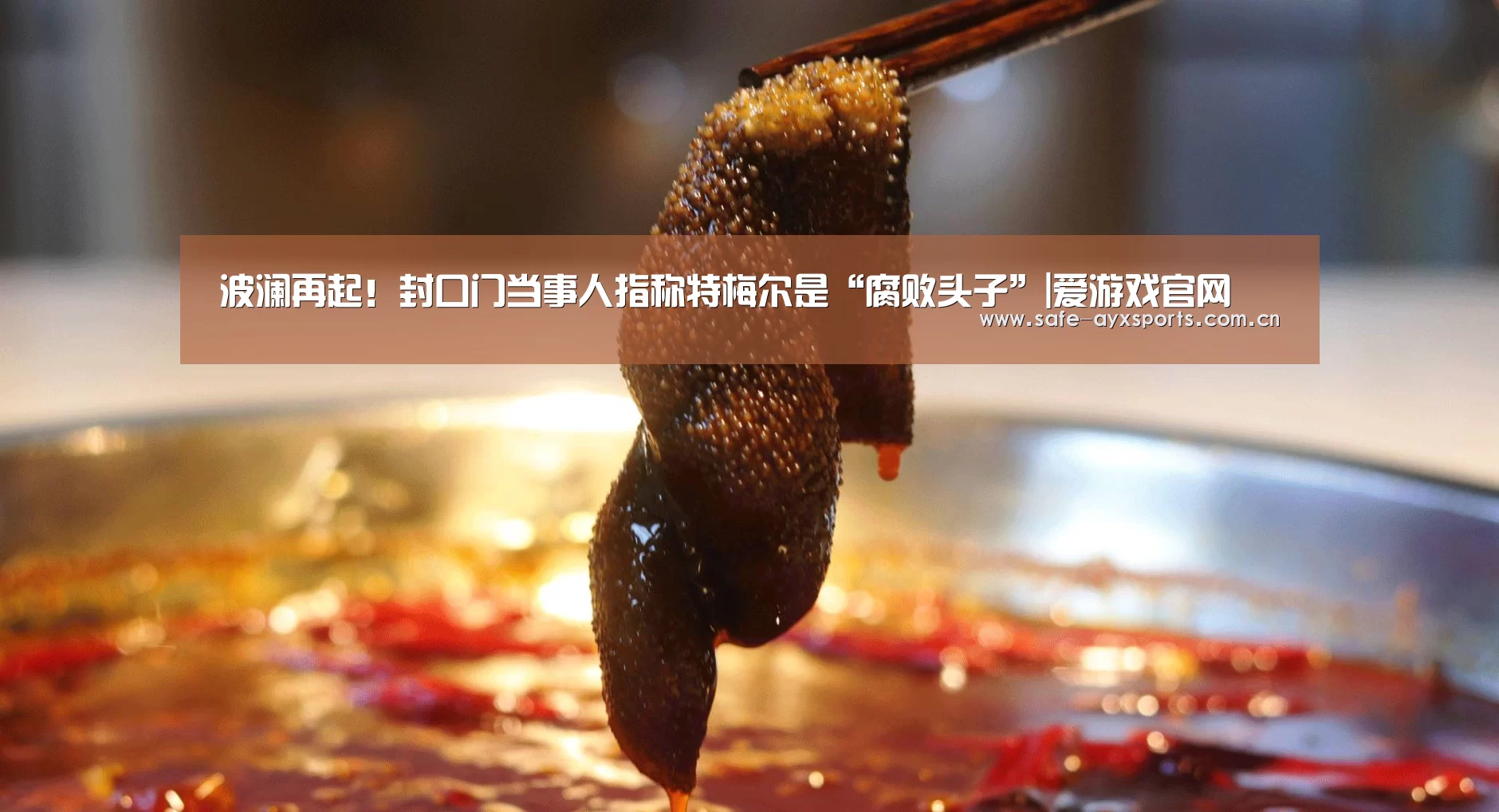 波澜再起!封口门当事人指称特梅尔是“腐败头子”|爱游戏官网(图1) 爱游戏体育下载
