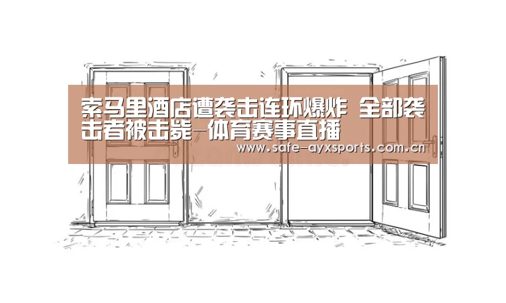 索马里酒店遭袭击连环爆炸 全部袭击者被击毙-体育赛事直播(图1) 爱游戏官网